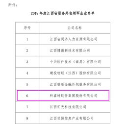 科睿特軟件集團榮獲2018年江西省服務(wù)外包領(lǐng)軍企業(yè)稱號